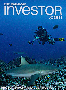 Shark Tourism