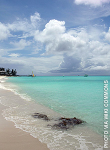 Bahamas View